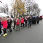 Dzień Niepodległości 11-11-2015 - przemarsz do kopca powstańców styczniowych