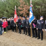 Dzień Niepodległości 11-11-2015 - przemarsz do kopca powstańców styczniowych