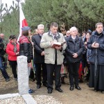 Dzień Niepodległości 11-11-2015 - przemarsz do kopca powstańców styczniowych