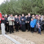 Dzień Niepodległości 11-11-2015 - przemarsz do kopca powstańców styczniowych
