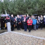 Dzień Niepodległości 11-11-2015 - przemarsz do kopca powstańców styczniowych