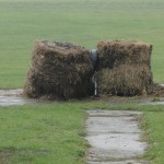 Targi Edukacyjne w Gimnazjum, pokaz OSP Słubice 20-10-2015