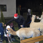 Słubicki Jarmark Bożonarodzeniowy