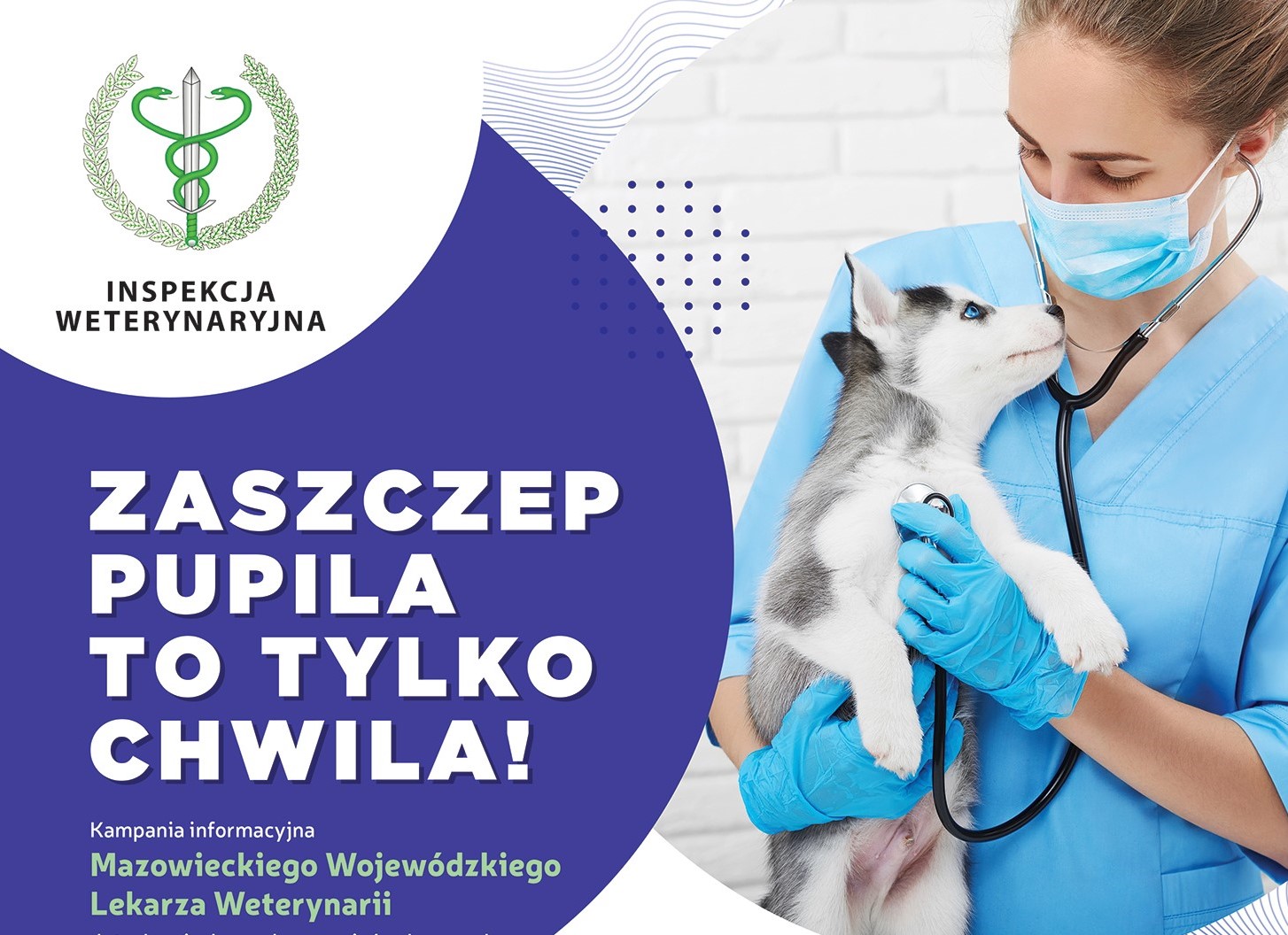 Szczepienie psów przeciwko wściekliźnie