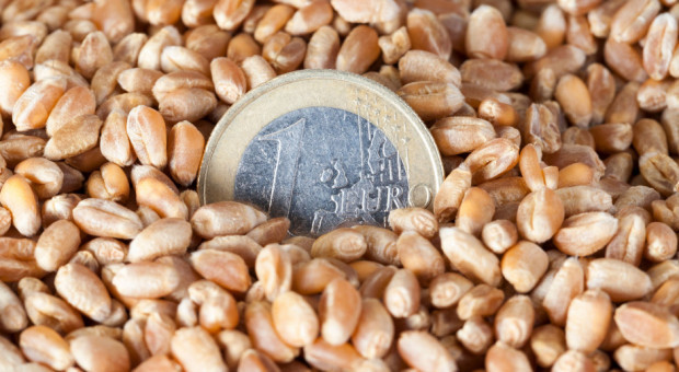 Dopłaty do materiału siewnego płyną na konta rolników