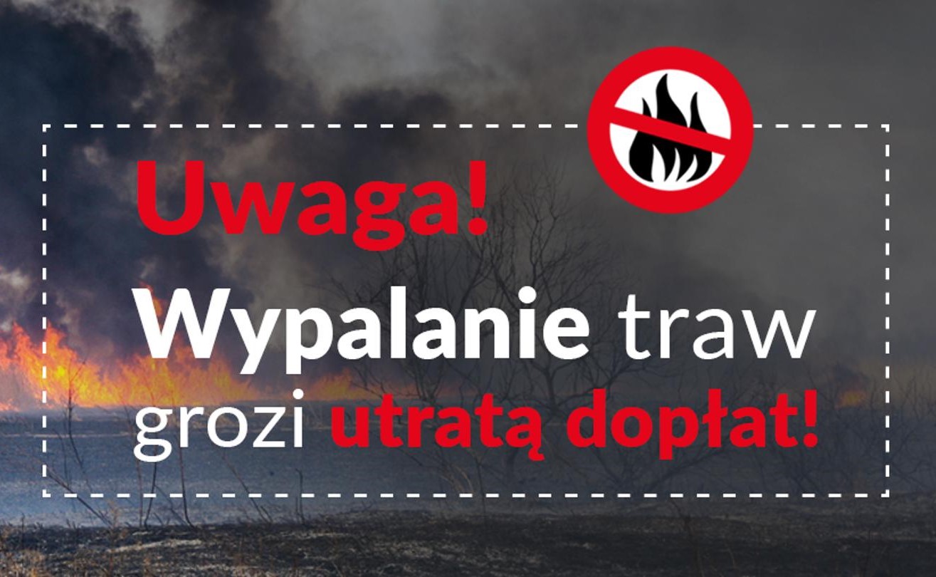 Wypalanie traw grozi utratą dopłat!