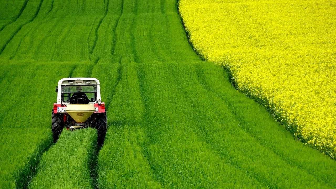 Ostatnie dni na ubieganie się o dopłaty bezpośrednie za 2021 r. 
