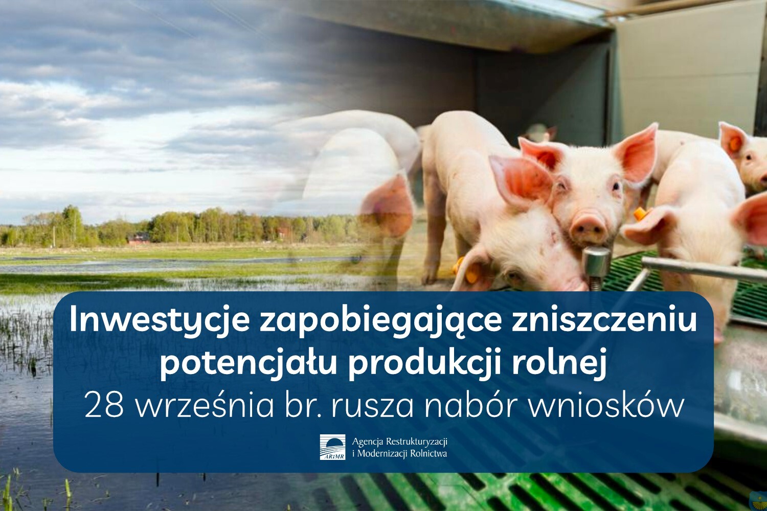 Inwestycje zapobiegające zniszczeniu potencjału produkcji rolnej