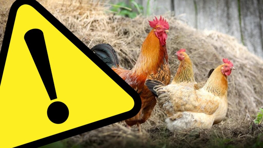 Rozporządzenie Wojewody Mazowieckiego