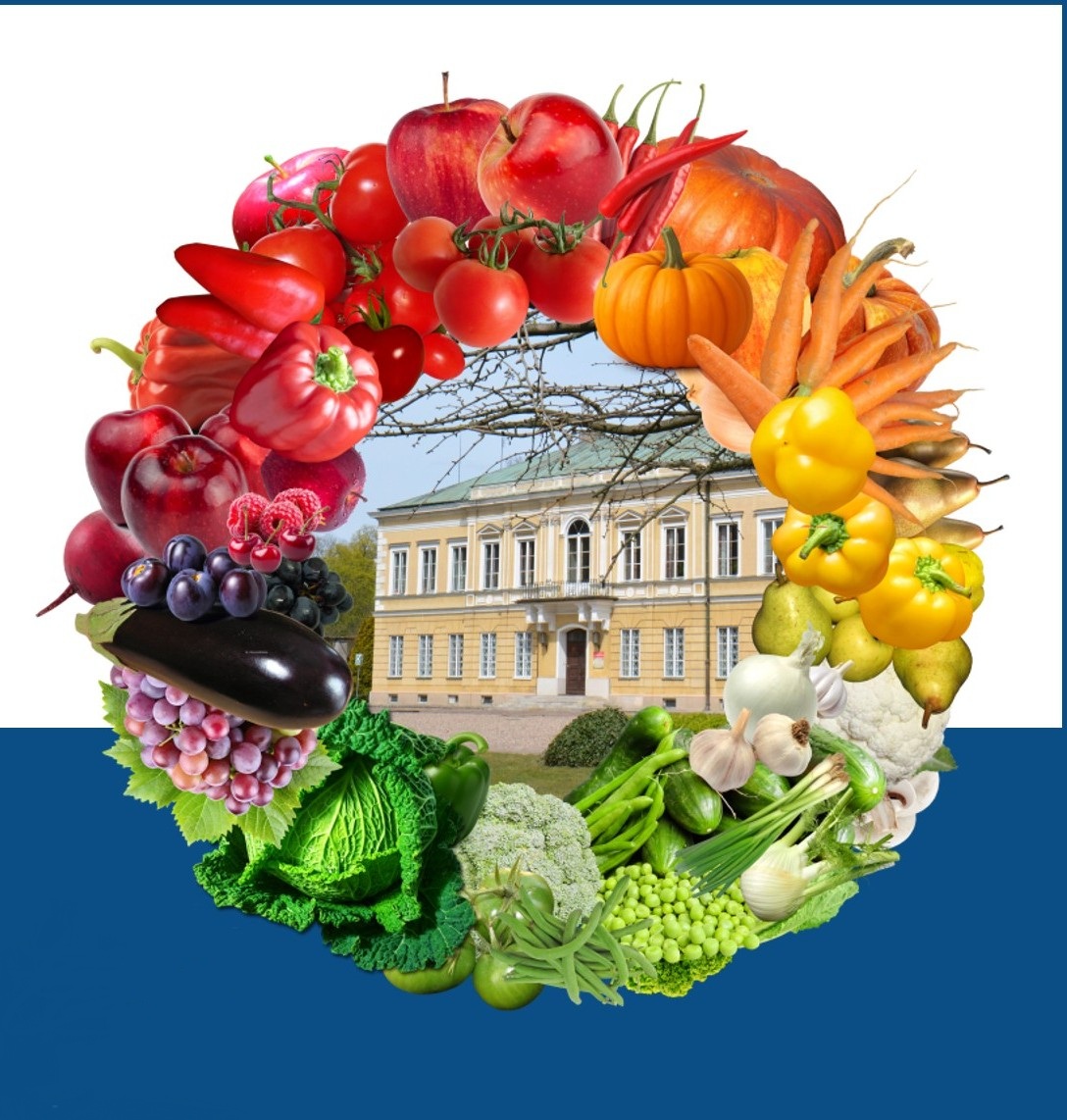 Ogrody zdrowia – co natura ma dla Ciebie. Kolor ma znaczenie!